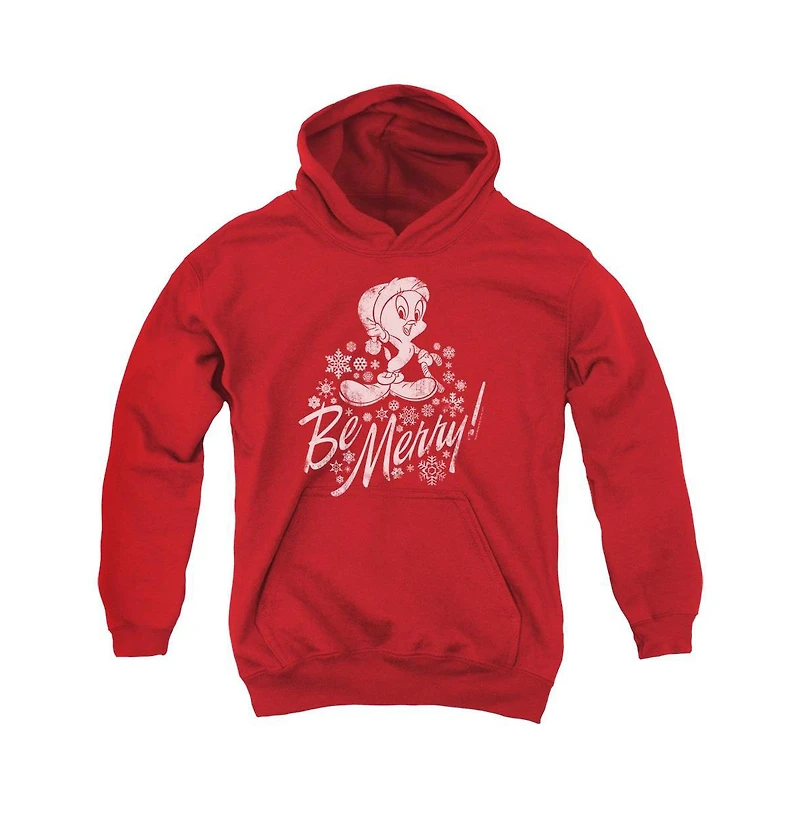 Looney Tunes Youth Merry Tweety Pull Over Hoodie / Hooded Sweatshirt