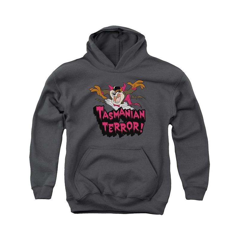 Looney Tunes Youth Taz Terror Pull Over Hoodie / Hooded Sweatshirt