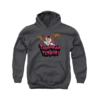 Looney Tunes Youth Taz Terror Pull Over Hoodie / Hooded Sweatshirt