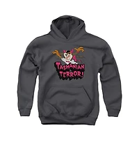 Looney Tunes Youth Taz Terror Pull Over Hoodie / Hooded Sweatshirt