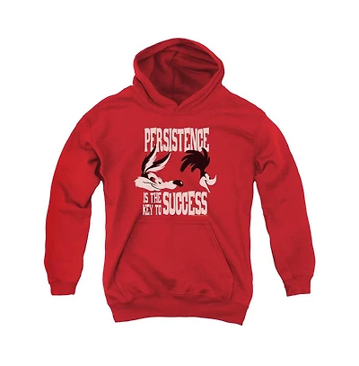 Looney Tunes Youth Persistence Pull Over Hoodie / Hooded Sweatshirt
