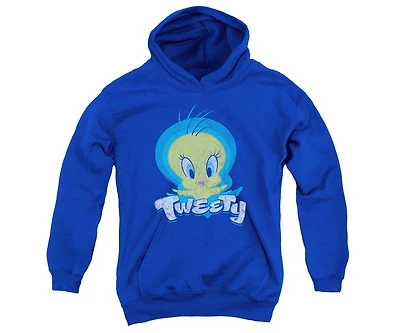 Looney Tunes Youth Tweety Swirl Pull Over Hoodie / Hooded Sweatshirt