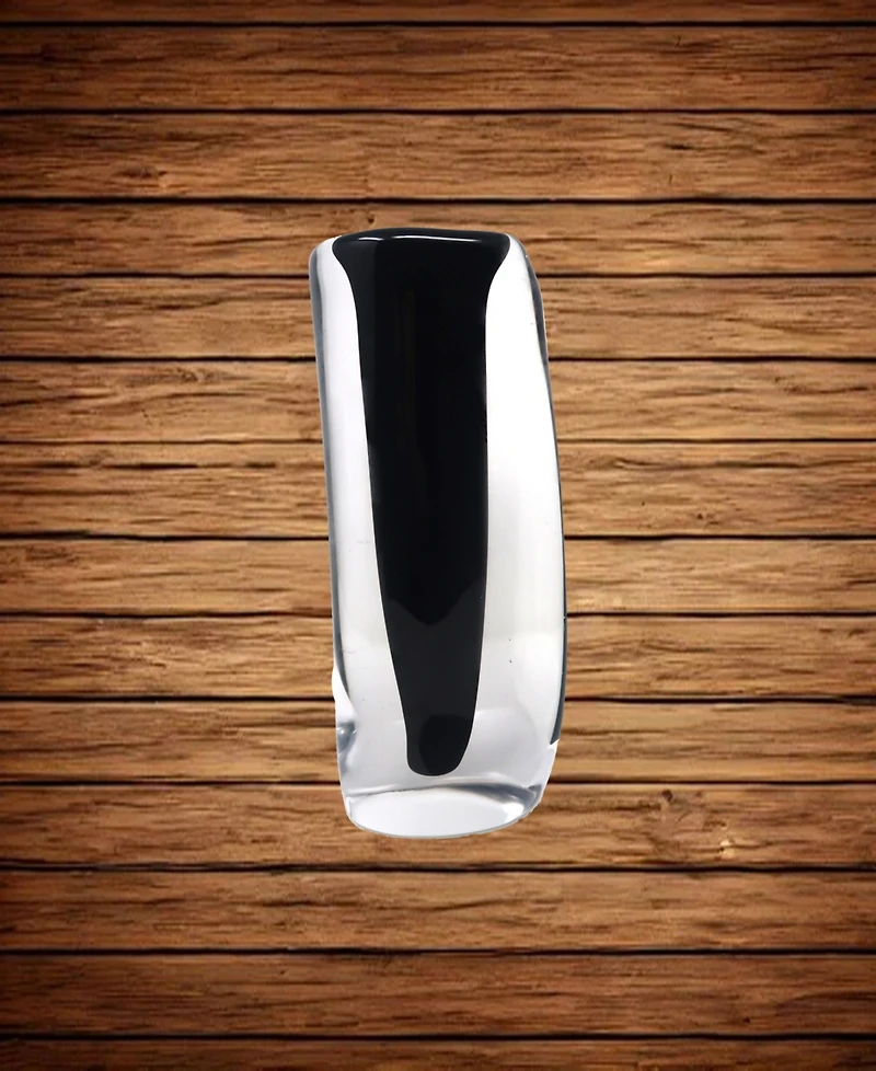 Vivience 11.5"H Black Inner Double Wall Glass Vase
