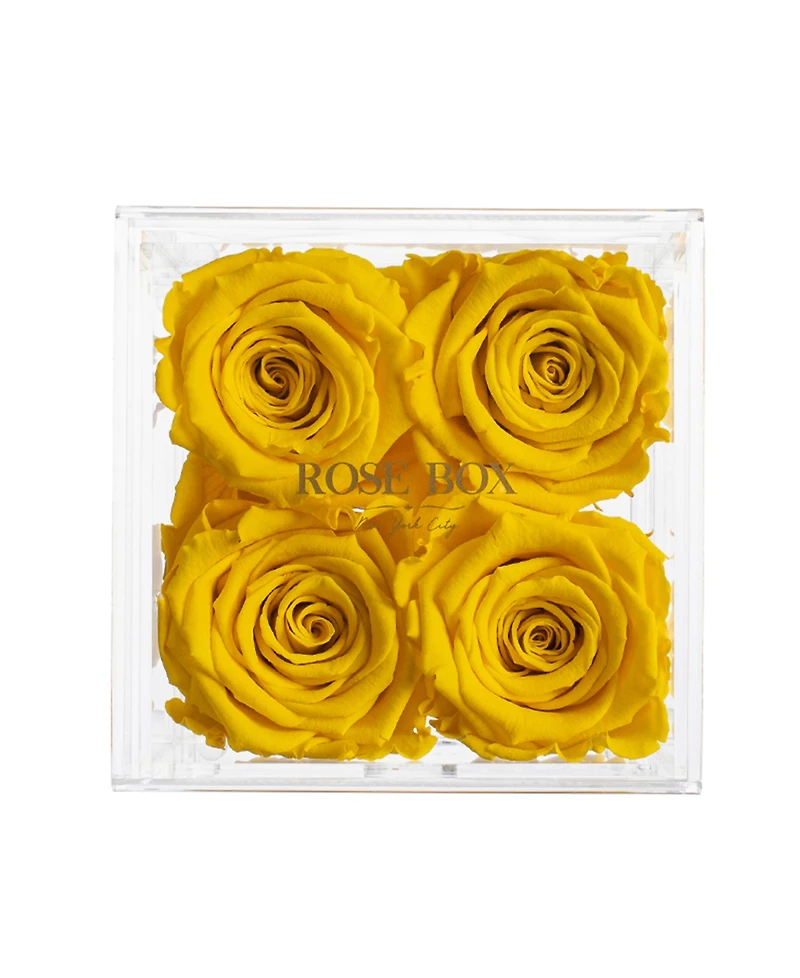 Rose Box Nyc Jewelry box of Bright Yellow Long Lasting Preserved Real Roses, 4 Rose