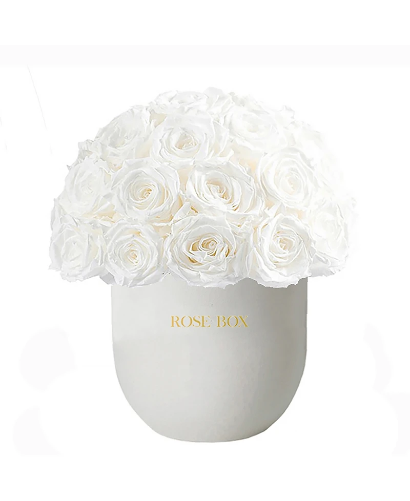 Rose Box Nyc Half Ball of Pure White Long Lasting Preserved Real Roses in Premium Ceramic Vase, 50-55 Roses