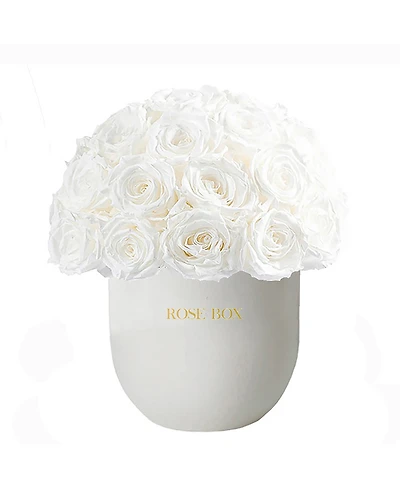 Rose Box Nyc Half Ball of Pure White Long Lasting Preserved Real Roses in Premium Ceramic Vase, 50-55 Roses