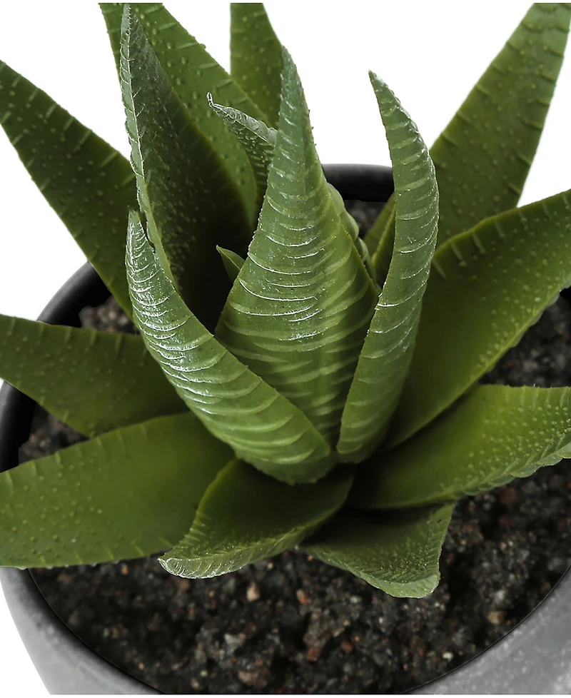 Monarch Specialties 6" Indoor Artificial Succulent Plants with Decorative Grey Cement Pots, Set Of 3