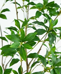 Nearly Natural 7ft. Artificial Minimalist Japanese Pieris Tree with Real Touch Leaves