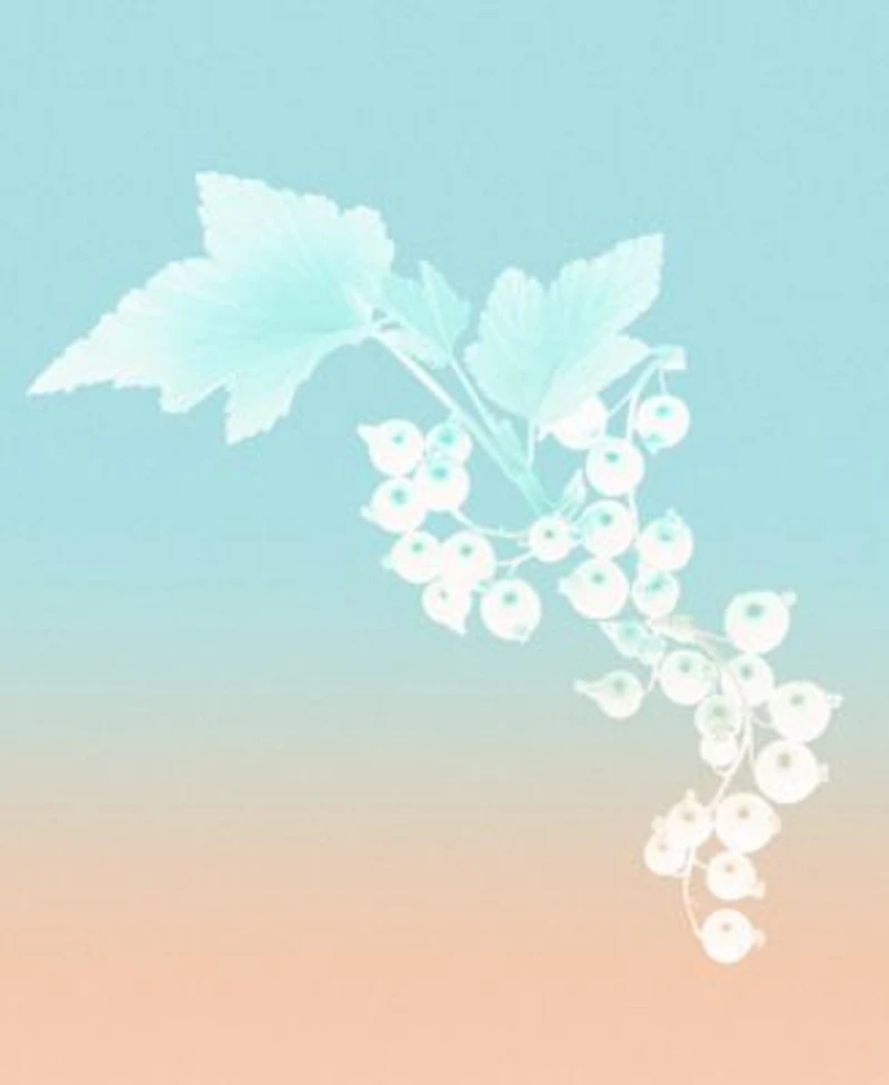 Tiffany Co. Rose Gold Eau De Parfum Fragrance Collection