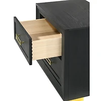 Simplie Fun Modern Glam 2-Drawer Nightstand Black Gold
