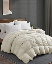 Unikome 360 Thread Count All Season Goose Down Feather Comforter, Full/Queen