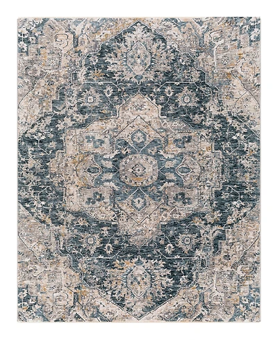 Livabliss Cardiff Cdf-2307 2'7x4' Area Rug