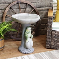Brooding Frog on a Stone 22-Inch H Polyresin Bird Bath