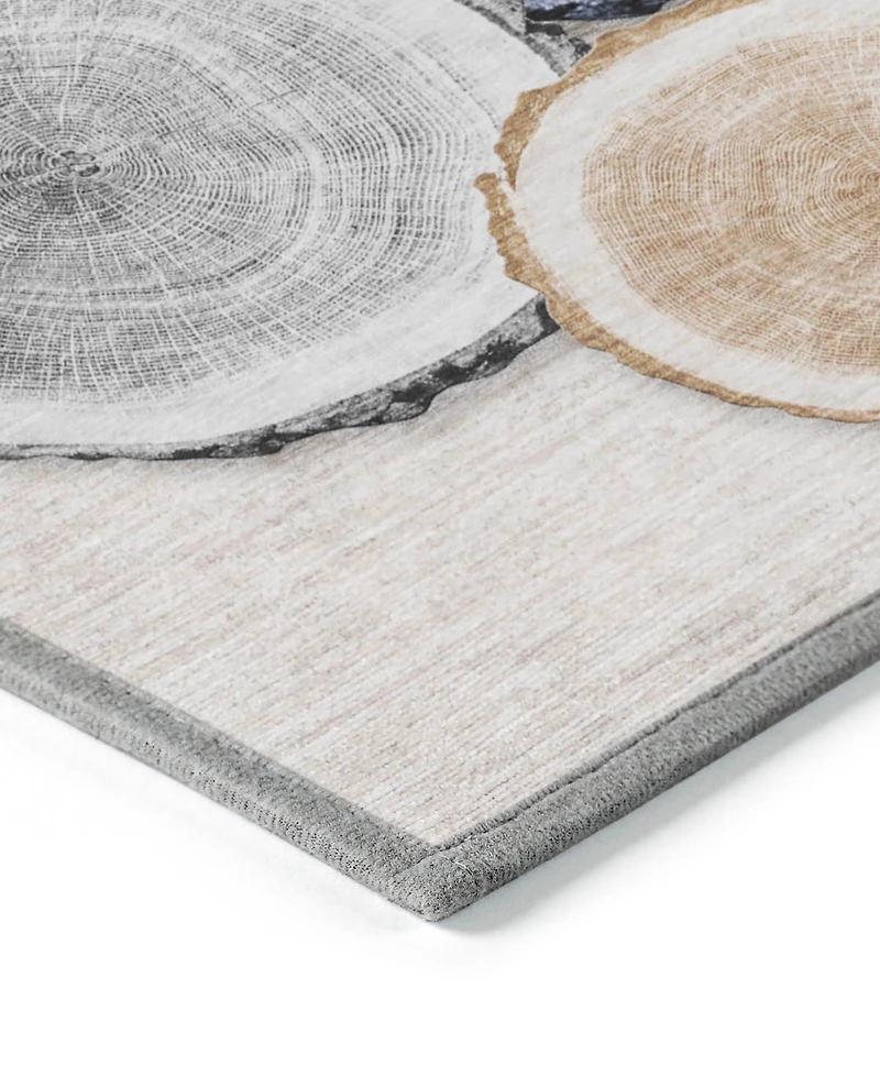 Addison Chantille Machine Washable ACN575 9'x12' Area Rug