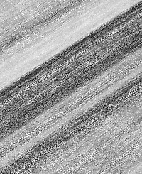 Addison Chantille Machine Washable ACN529 8'x10' Area Rug