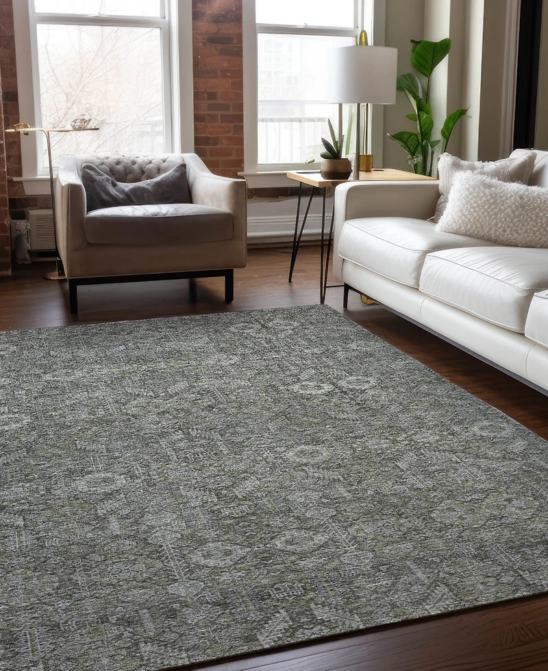 Addison Chantille Machine Washable ACN574 2'6x3'10 Area Rug