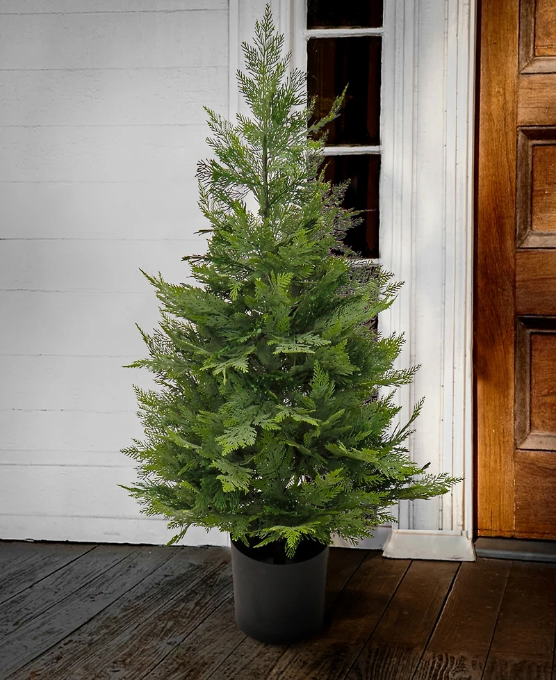 National Tree Company 3 ft. Cypress Tree in Nursery Pot