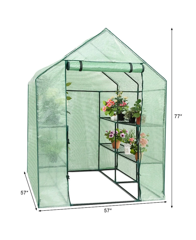 Inolait Sugift 8 shelves Mini Walk In Greenhouse Outdoor Gardening Plant Green House
