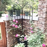 Streamdale Metal Garden Trellis 71" x 19.7" for Climbing Plants