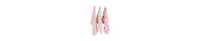 Design Imports Gingham Check Kitchen Collection, Pink, Dishtowel Set