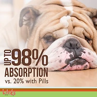 Licks Pill Free Licks Pill-Free Dog Skin and Allergy - Omega 3 Dog Allergy Relief - Dog Vitamins & Supplements for Itch Relief