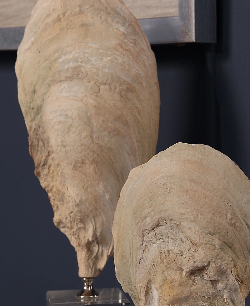 Uttermost Oyster Shell Sculptures, Set of 2