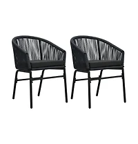 Patio Chairs 2 pcs Black Pe Rattan
