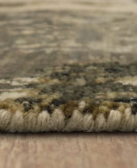 Stacy Garcia Home Depiction Annora 6'x9' Area Rug