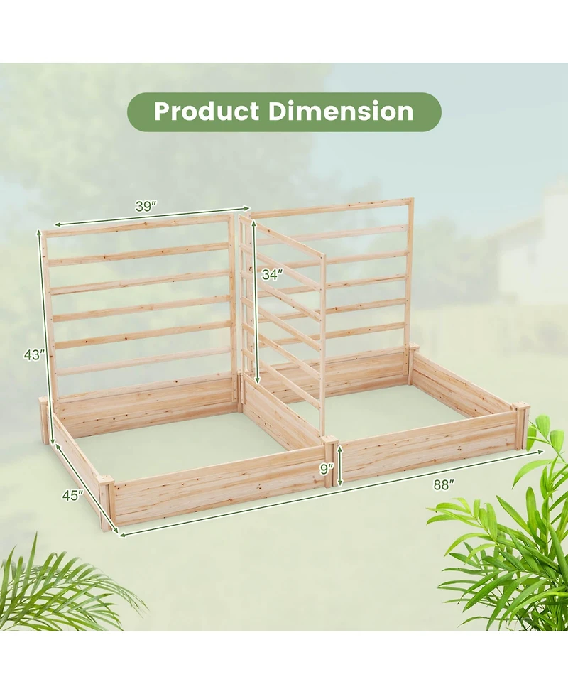 Raised Garden Bed with 3 Trellises with Divided Compartments for Flowers