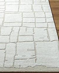 Livabliss Bianca 2'x3' Area Rug