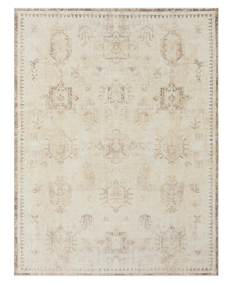 Lr Home Anna Ari- 7'10"x9'10" Area Rug