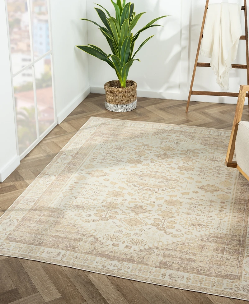 Lr Home Anna Ari-425 5'3"x7' Area Rug