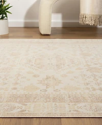 Lr Home Anna Ari-425 7'10"x9'10" Area Rug