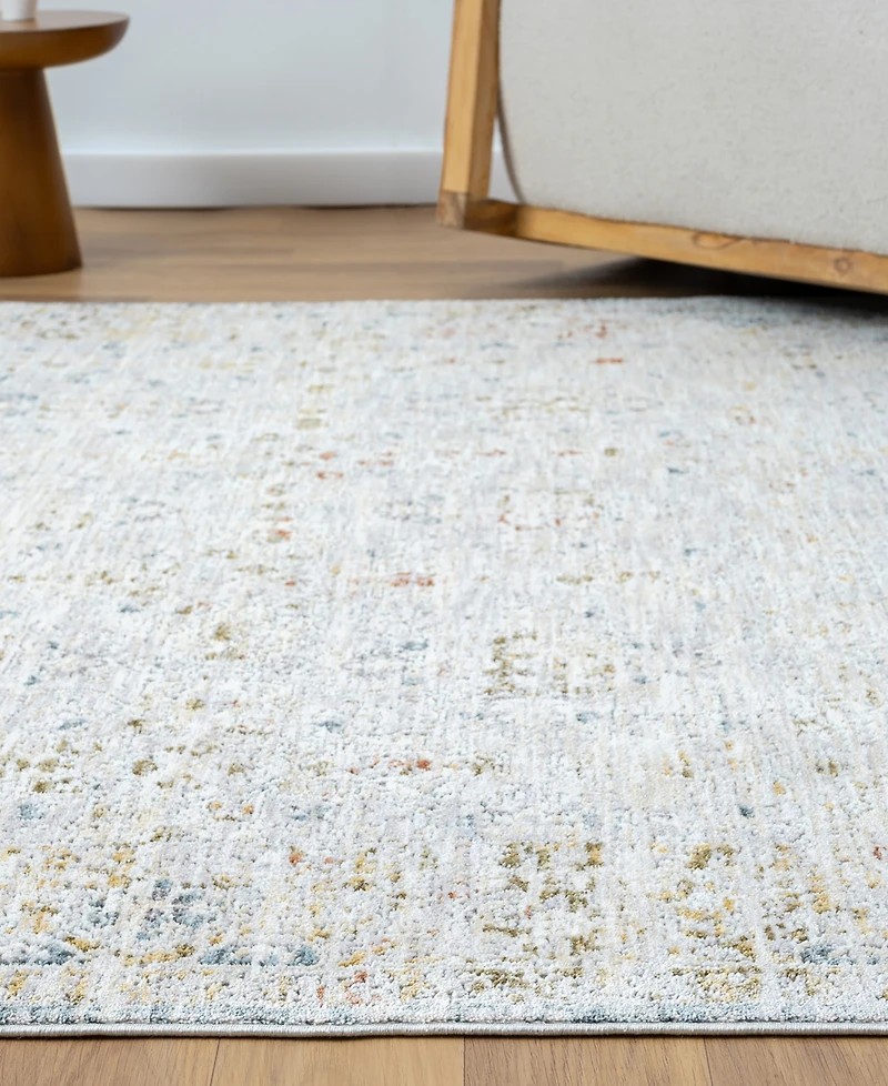 Lr Home Alexis All-474 7'9"x9'9" Area Rug