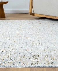 Lr Home Alexis All-474 7'9"x9'9" Area Rug
