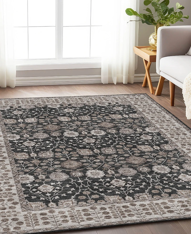 Dalyn Hatay Washable HY8 10'x14' Area Rug