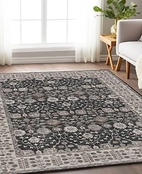 Dalyn Hatay Washable HY8 10'x14' Area Rug