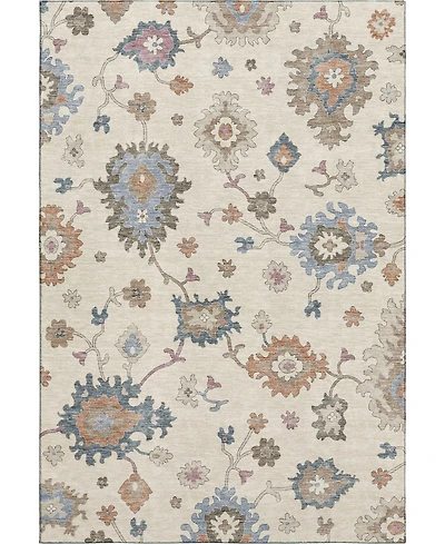 Dalyn Hatay Washable HY4 2'6"x3'10" Area Rug