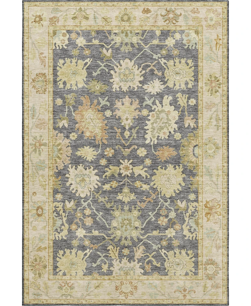 Dalyn Hatay Washable HY2 3'x5' Area Rug