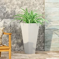 Sleek and Stylish Plant Haven Perfect Home for Your Verdant Beauties
