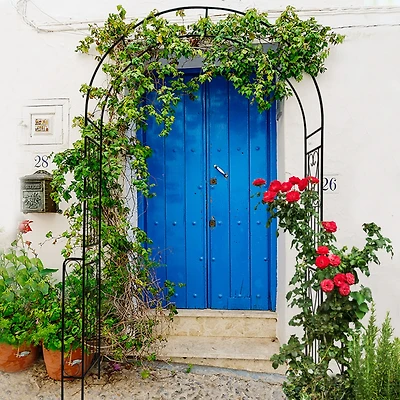 Streamdale Furniture Support Climbing Plants with Metal Garden Arch