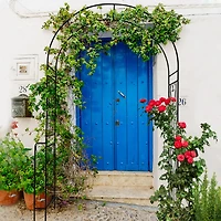 Streamdale Furniture Support Climbing Plants with Metal Garden Arch