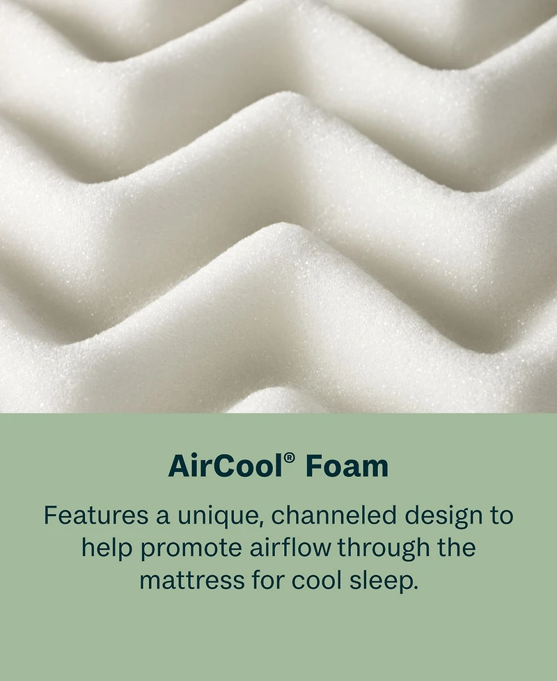 Beautyrest BeautySleep Dream Weaver 11.5" Firm Mattress