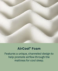 Beautyrest BeautySleep Dream Weaver 11.5" Firm Mattress
