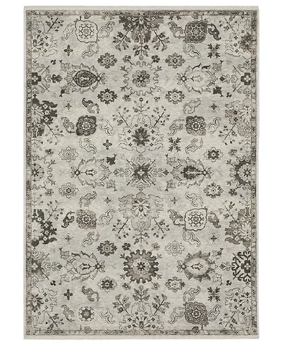 Oriental Weavers Chamberlain 5'3"x7'6" Area Rug