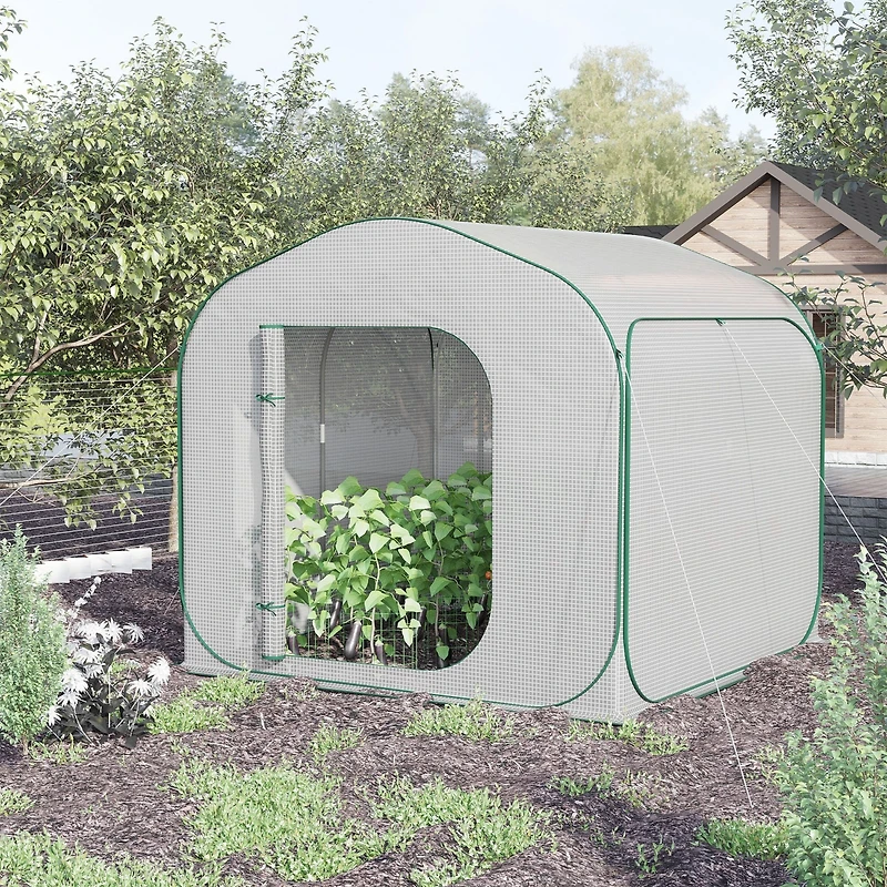 Portable Pop-Up Greenhouse for Plant Protection