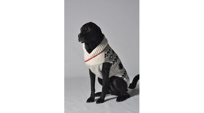 Chilly Dog Xxxl Jackson