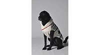 Chilly Dog Xxxl Jackson