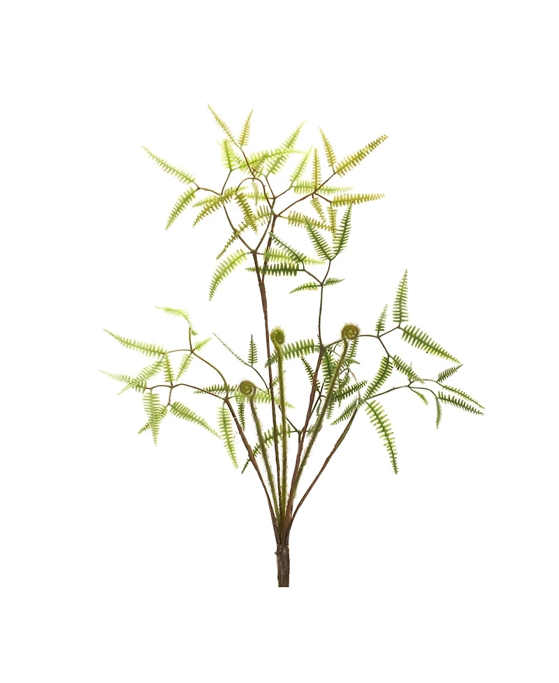 Slickblue Mini Fern Foliage Bush With Sprout Accent (Set of 6)