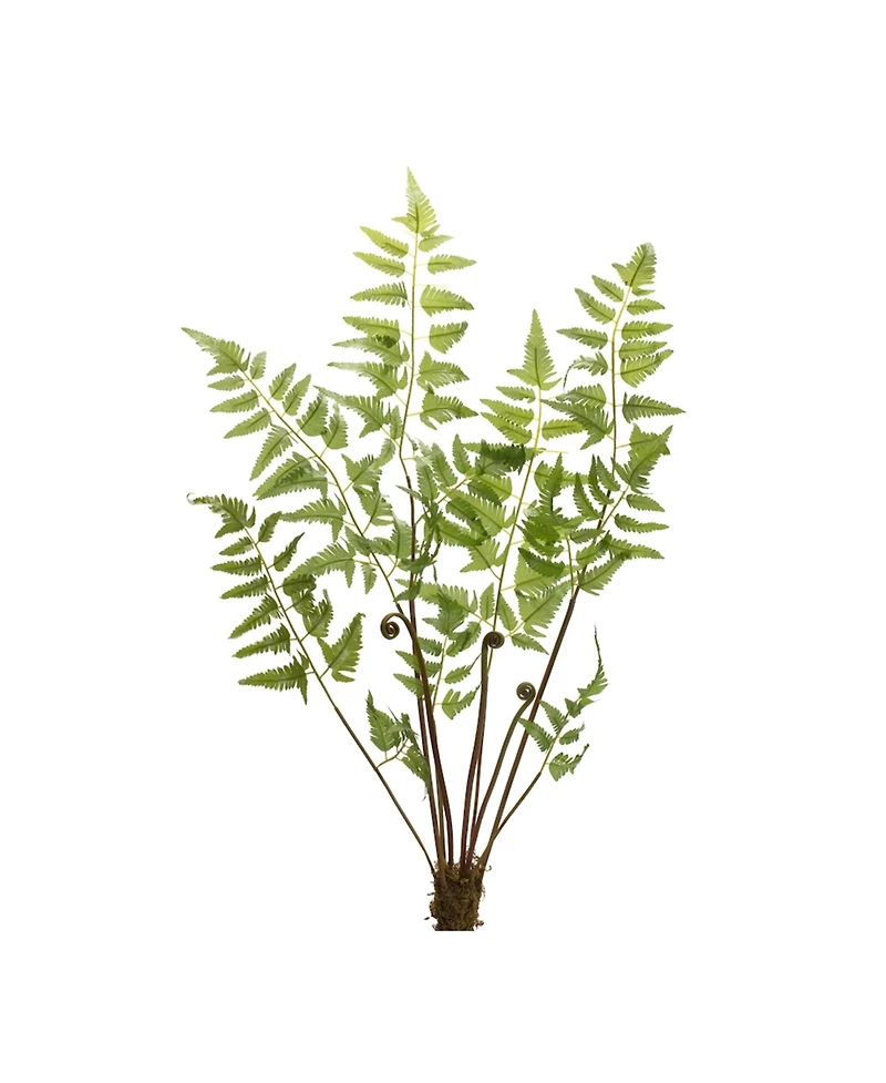 Slickblue Varigated Fern Bundle With Sprout Accents (Set of 6)